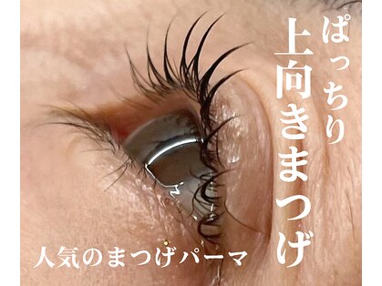 モモ(Momo.)の写真