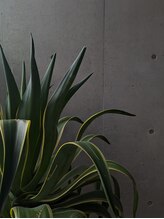 月雫香 南堀江/