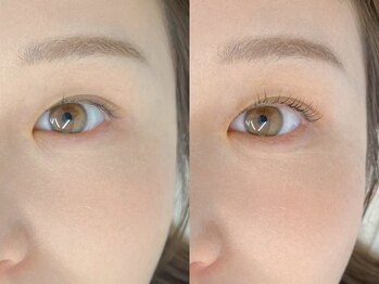 リリーベイブ(LILY BABE)/まつげパーマ/マツエク/パリエク