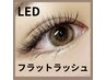 再来【持続力1.5倍!】LEDフラットラッシュ 120本 9000円