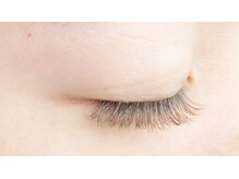 クレー(Klee)/フラットラッシュ