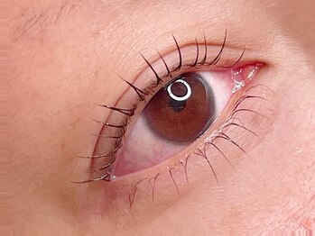 レハ(rehat)/上下まつ毛パーマ