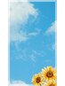 夏休み期間限定メニュー！ボディー５０分＋フットケア４０分¥6,750→¥6300