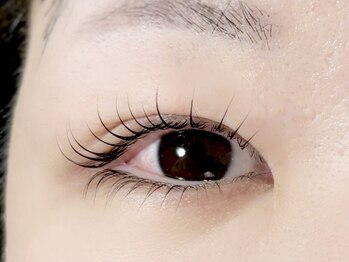 ザ ビー 岡崎店(the B)/まつげパーマ上下 Uカールロッド