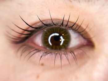 ティンク(Tink)/上下まつげパーマ