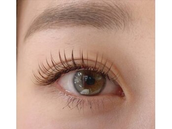 アンド シェリ(& Cheri)