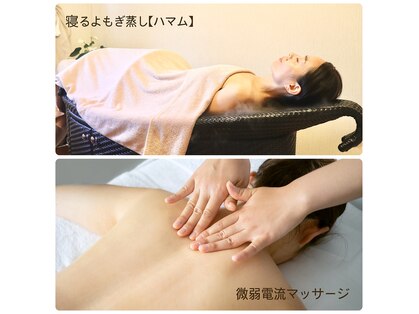 ノエル(1010-Noel)の写真