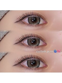 アイモア 名東区 藤が丘店(eye mor.)/中山design☆立ち上げカール