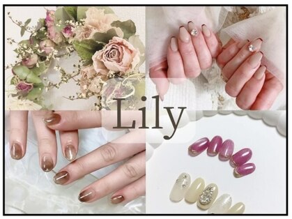 リリー(Lily)の写真