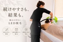 ファン(FAN)