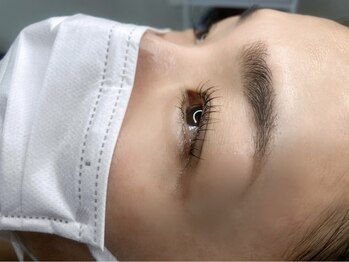 リノ リノ(Lino.Lino)/3Dブロウリフト/パリジェンヌset