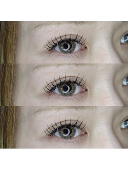 ラムール 姫路(L'AMOUR+)/