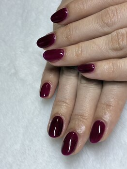 オランダエステティック(Holland Esthetics)/ワンカラー