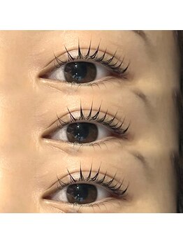 ロバスト(ROBUST)/