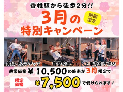 ツムギ(tsumugi)の写真