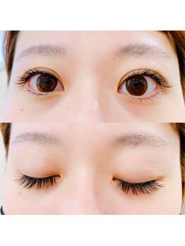 ルピナス(Lupinus)/ボリュームラッシュ500本下30本