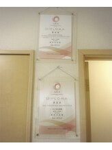 カラーリリー(calla lily)/AEA認定講師　