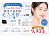【最強セット】韓国式最先端毛穴洗浄esV10+黒ずみ集中毛穴美容液洗浄¥9900
