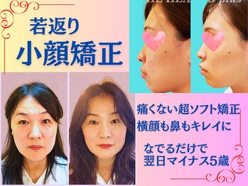 ハーボプラス(THE HEARBO plus)