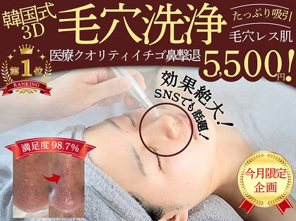 エルフ(elf)の写真