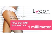 サロンドアモール(Salon de a mole)/ブラジリアンＷＡＸ