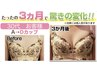 【6月平日限定】（20~50代の女性に人気！）育乳バストアップ2980