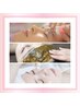 【お肌を生き返らせる贅沢SET♪】プラズマ肌質改善＋ハーブ＋ハイドロ