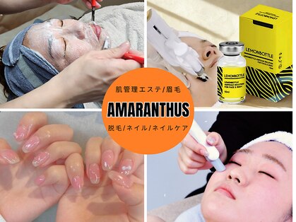 アマランサス(Amaranthus)の写真