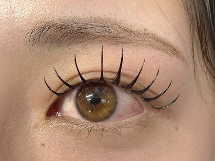 ココル(cocoLu)の写真