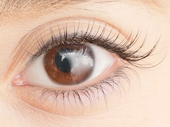 ドットイチイチマルイチ 銀座店(DOT1101)/80本