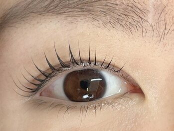 キト(KITO)/◆マスカラパーマ