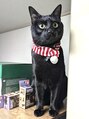アイム 登戸店(i'm)&nbsp;実家の黒猫、リンです！ぷちぷちの小豆色の肉球がたまらんです