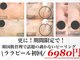 フルブルーム(Full Bloom)の写真