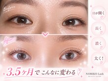 アイラッシュバーリー バイ ノブグループ(EYE LASH BARLEY by NOB GROUP)/伸びる自まつげ【まつげパーマ】
