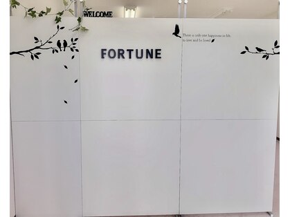 フォーチュン(fortune)の写真