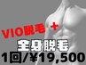【メンズ/全身脱毛】VIO + 全身脱毛 女性スタッフ対応 80分/¥19500