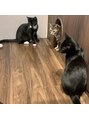 バレッタ(VALETTA)&nbsp;動物が大好きです！特に猫が好きで猫カフェによく行きます！