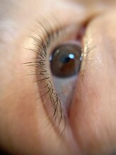 フェリシテ(felicite)/80本