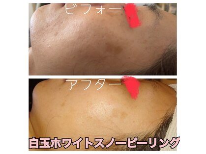 ユズリハ(Yuzuriha)の写真