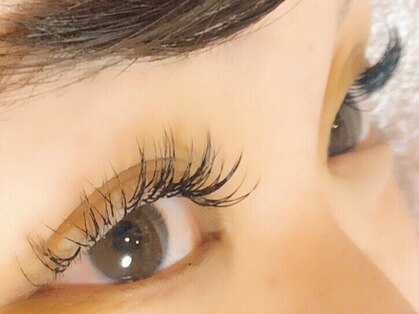 ヒイラギ(HIIRAGI)の写真