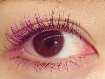 レイアイラッシュ 守谷店(Ray Eyelash Salon)/カラーエクステ