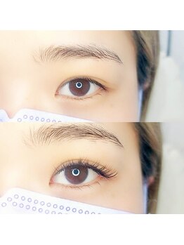 ルピナス 武蔵小金井店(Lupinus)/LEDフラットラッシュ180本