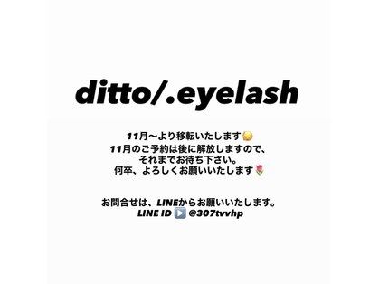 ディトアイラッシュ(ditto/.eyelash)の写真