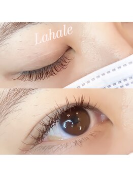 ラハレ (La Hale)/ブラウンカラー140本