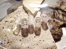 シンス(Since)/7月jr monthlyDesign plus