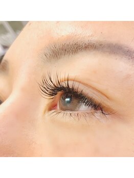 シャノワール(Chat Noir)/フラットラッシュ150本