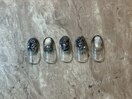 定額￥8800コース
