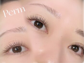 セレクト アイコンシェルジュ 新宿店(SELECT eye concierge)の写真/骨格や生え癖を分析し理想のまつげに[マツエク/まつ毛パーマ/アイブロウ/アンドヘルシー/眉毛/＆healthy］