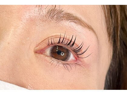 サクサク(sakusaku)の写真