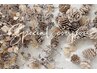 【初回限定】100本フラットラッシュ【ナチュラル】